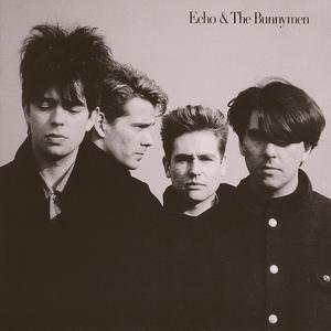 Echo & The Bunnymen